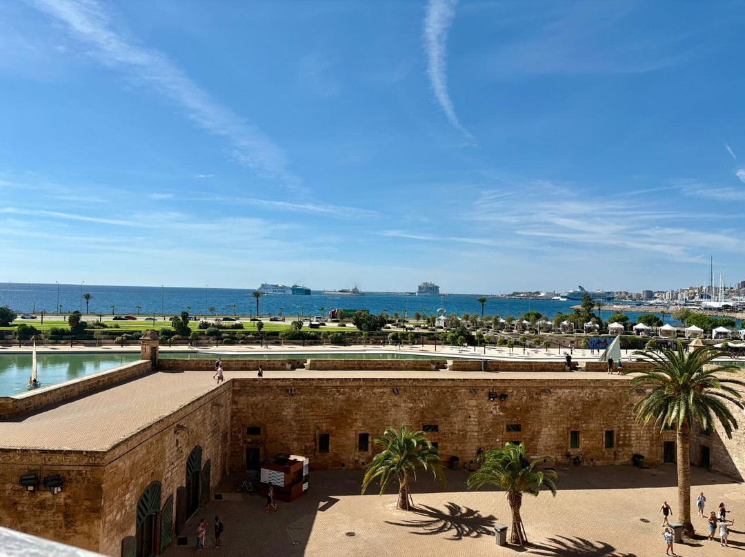 Parc de la Mar-马洛卡帕尔马必去景点