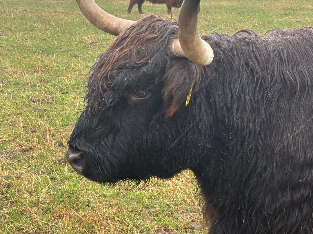 Newton Farm Holidays-Forfar必去景点
