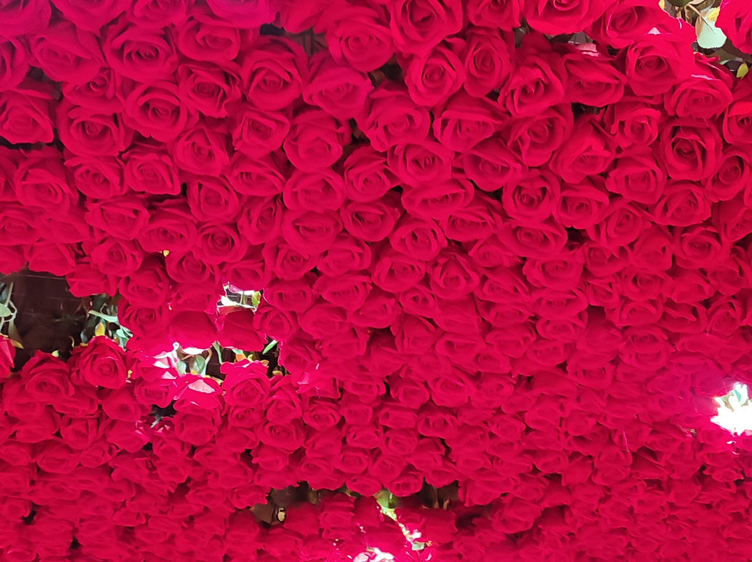 Metashow Exhibition-胡志明市必去景点