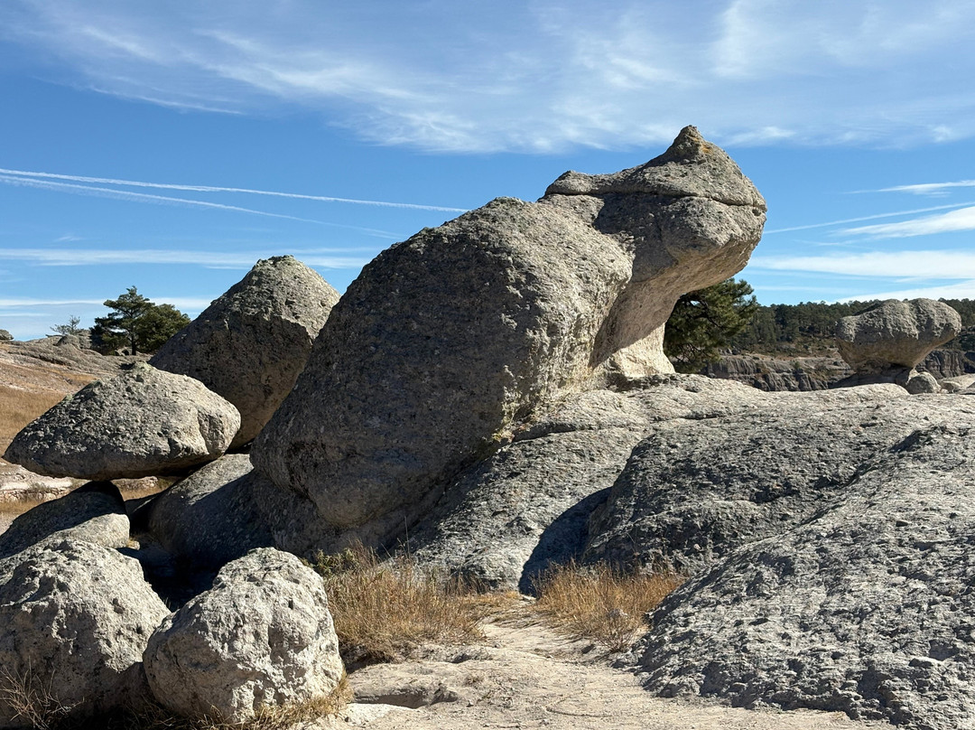 Experience Mex-ECO Tours-Melaque必去景点