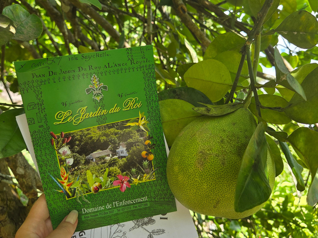 Le Jardin Du Roi Spice Garden-马埃岛必去景点