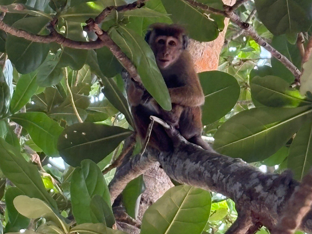 Unique View Sri Lanka-Yakkala必去景点