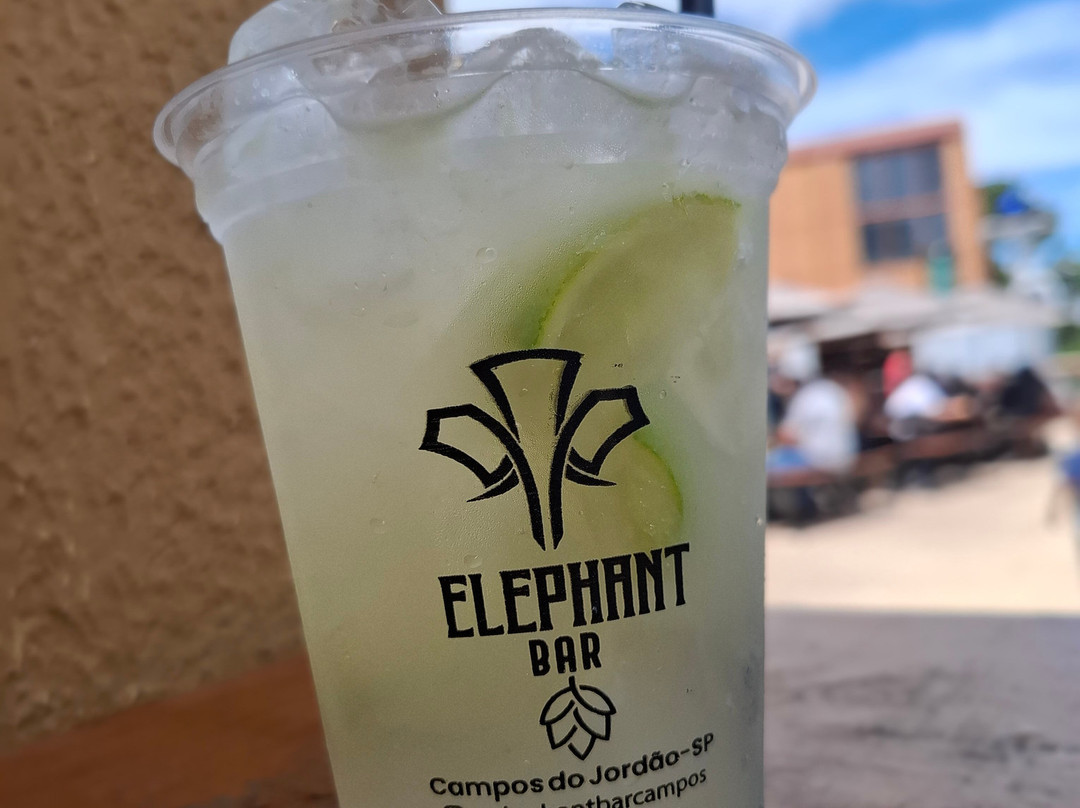 Morro do Elefante-坎普斯－杜若尔当必去景点