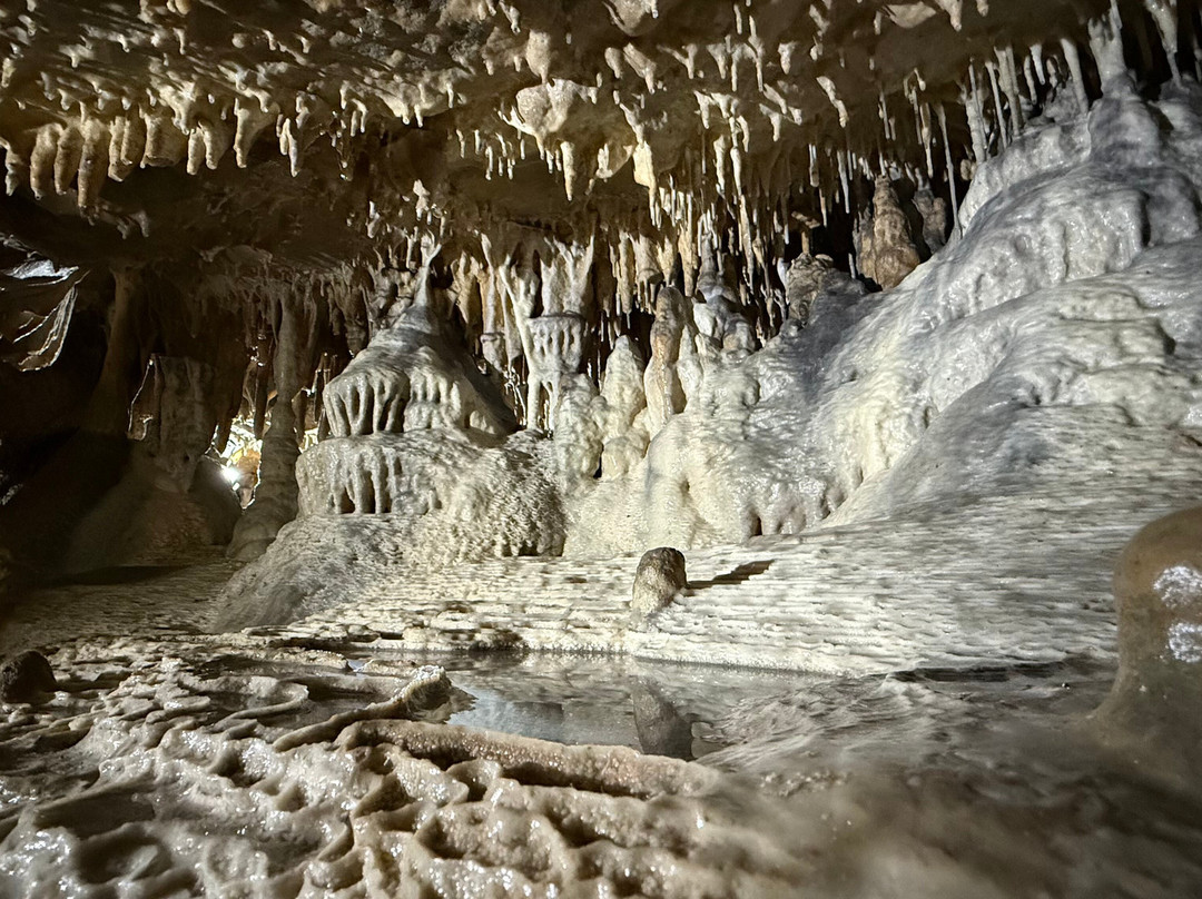 Caves du Pont d'Arcole-Hastiere-Lavaux必去景点
