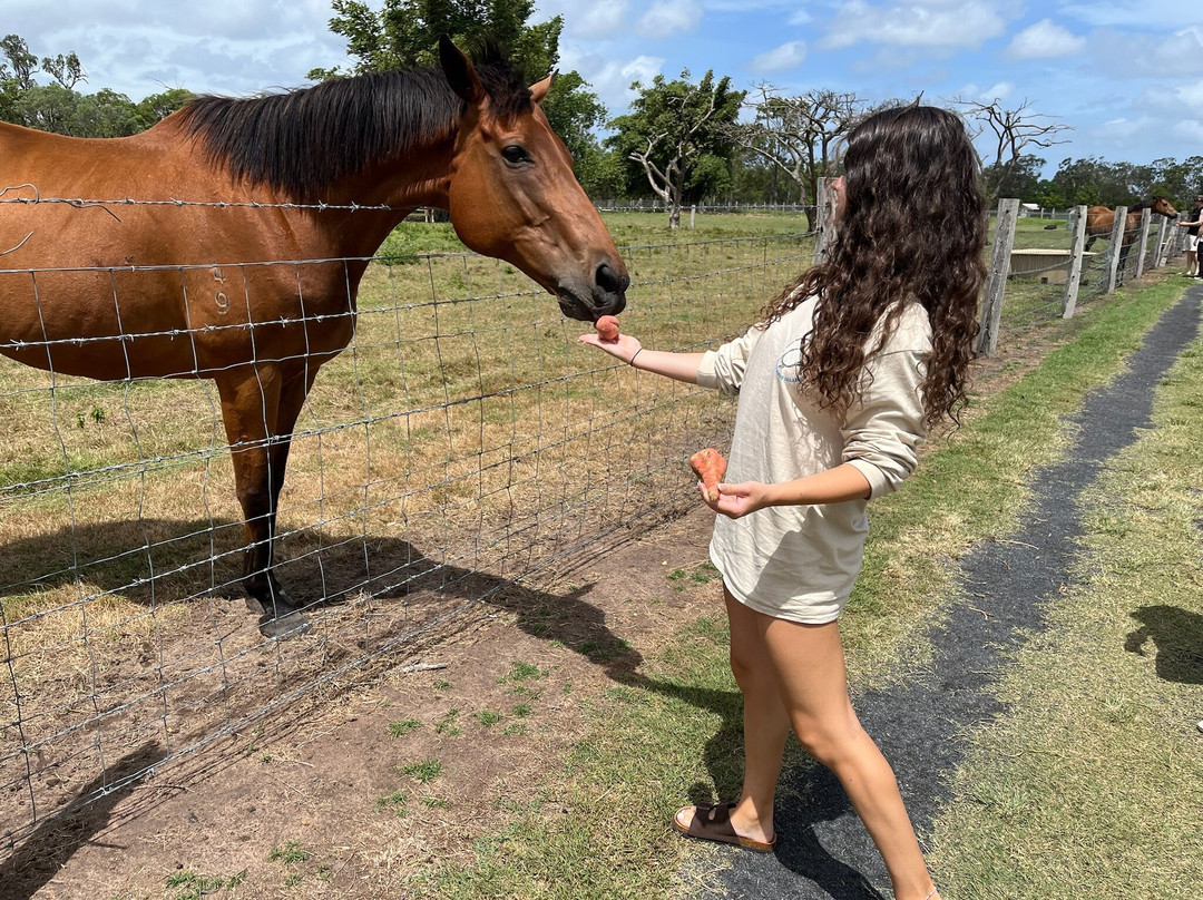 Splitters Farm-邦德堡必去景点