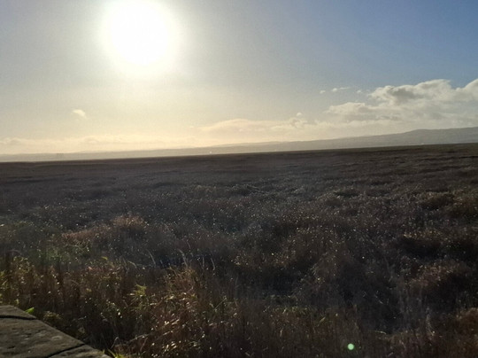 Parkgate Seafront-Parkgate必去景点