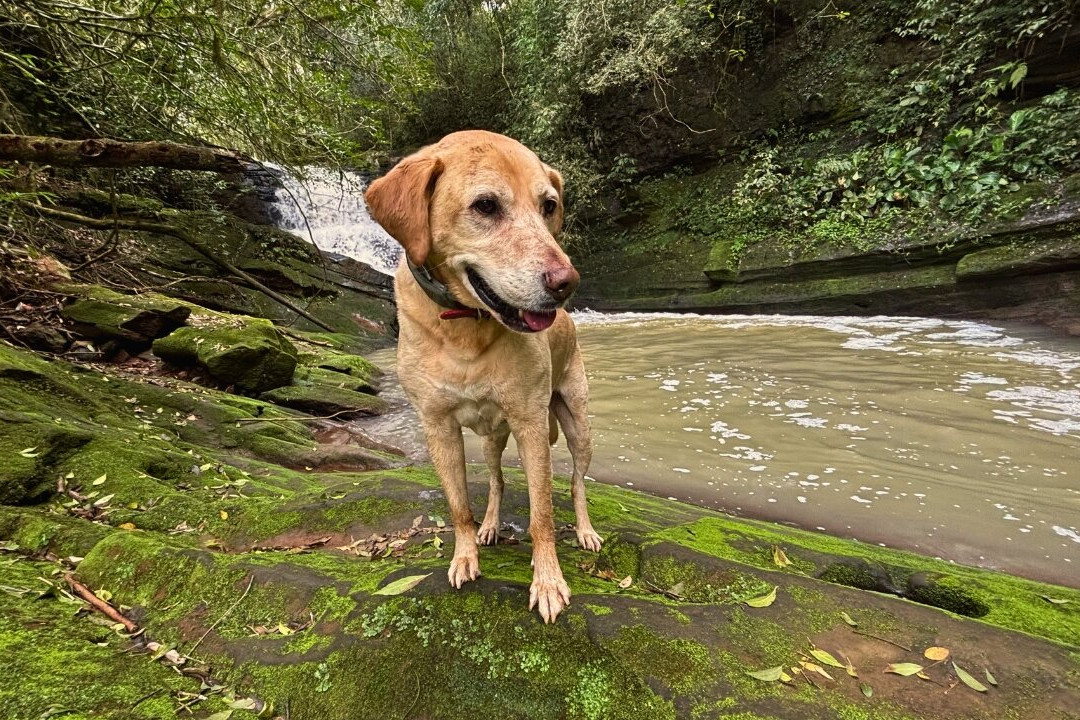 Cascata Dois Irmãos-Dois Irmaos必去景点