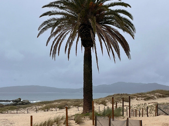 Playa Samil-比戈必去景点