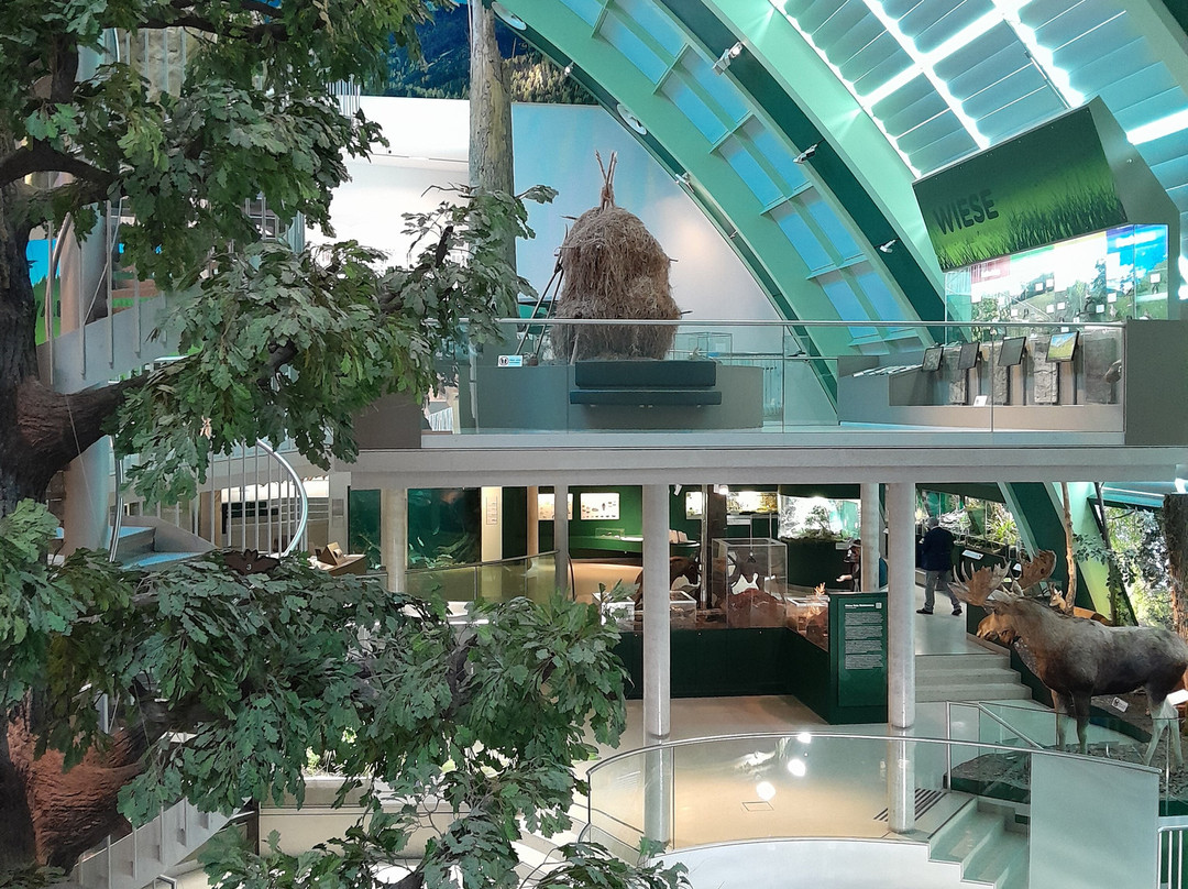 Museum Niederoesterreich-圣珀尔滕必去景点