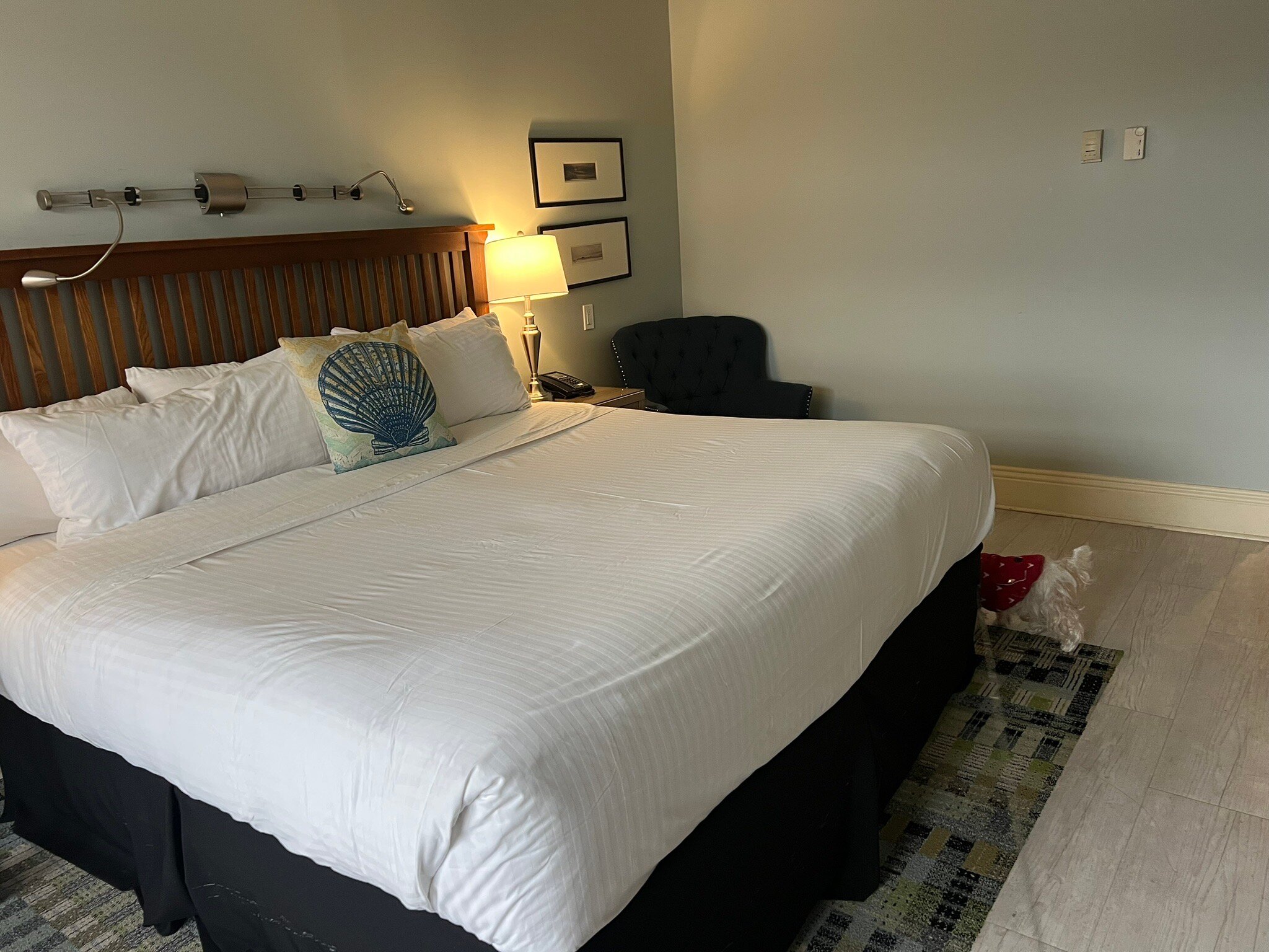 Harbour House Hotel-官方