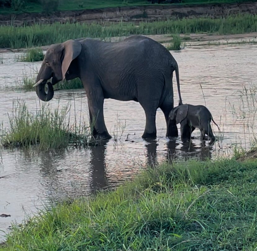 Snyman Safaris-南帚必去景点