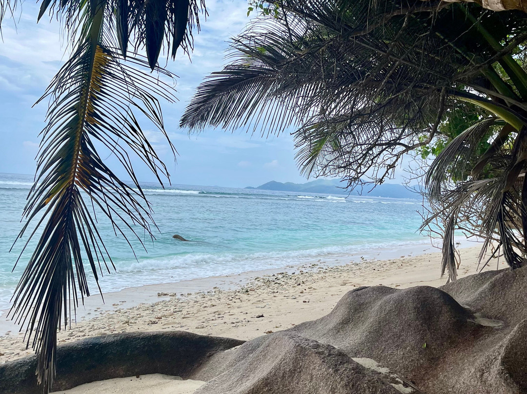 Crystal Water Kayaks-L'Union必去景点