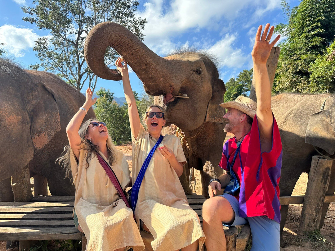 Elephant Freedom Village-清迈必去景点