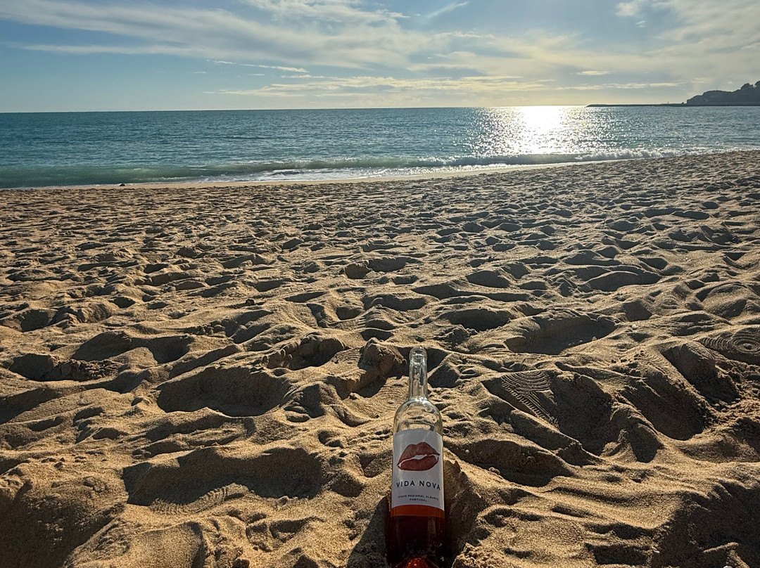 Adega do Cantor-阿尔布赞拉必去景点