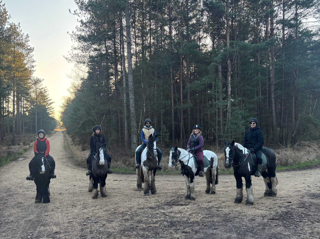 Eastmoors Forest Rides-St Leonards必去景点