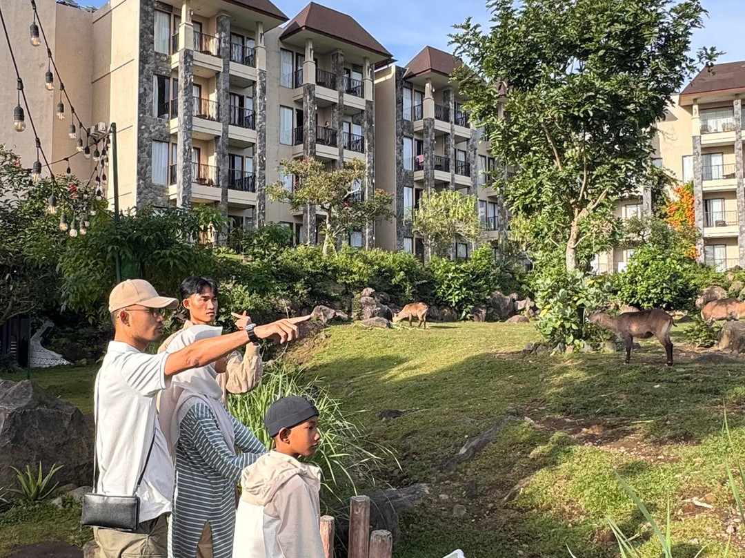 Baobab Safari Resort主图