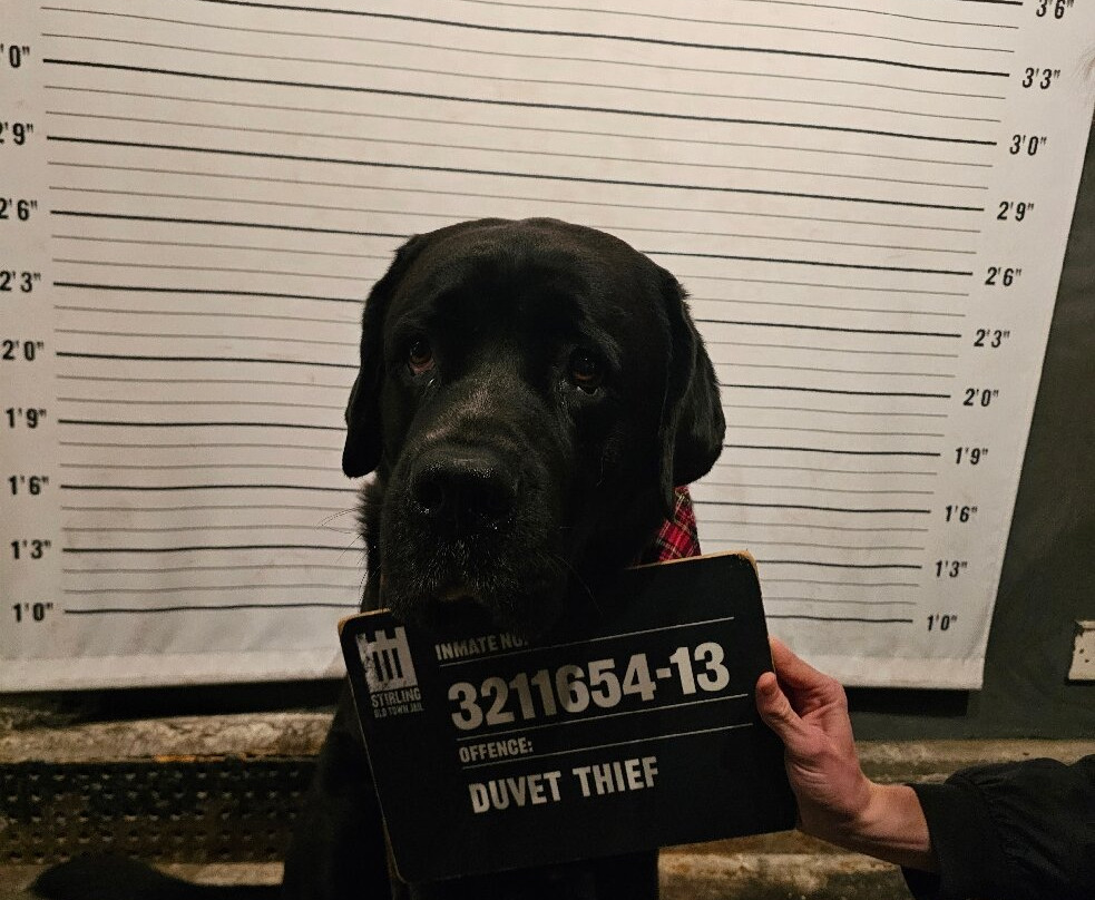 Stirling Old Town Jail-斯特灵必去景点