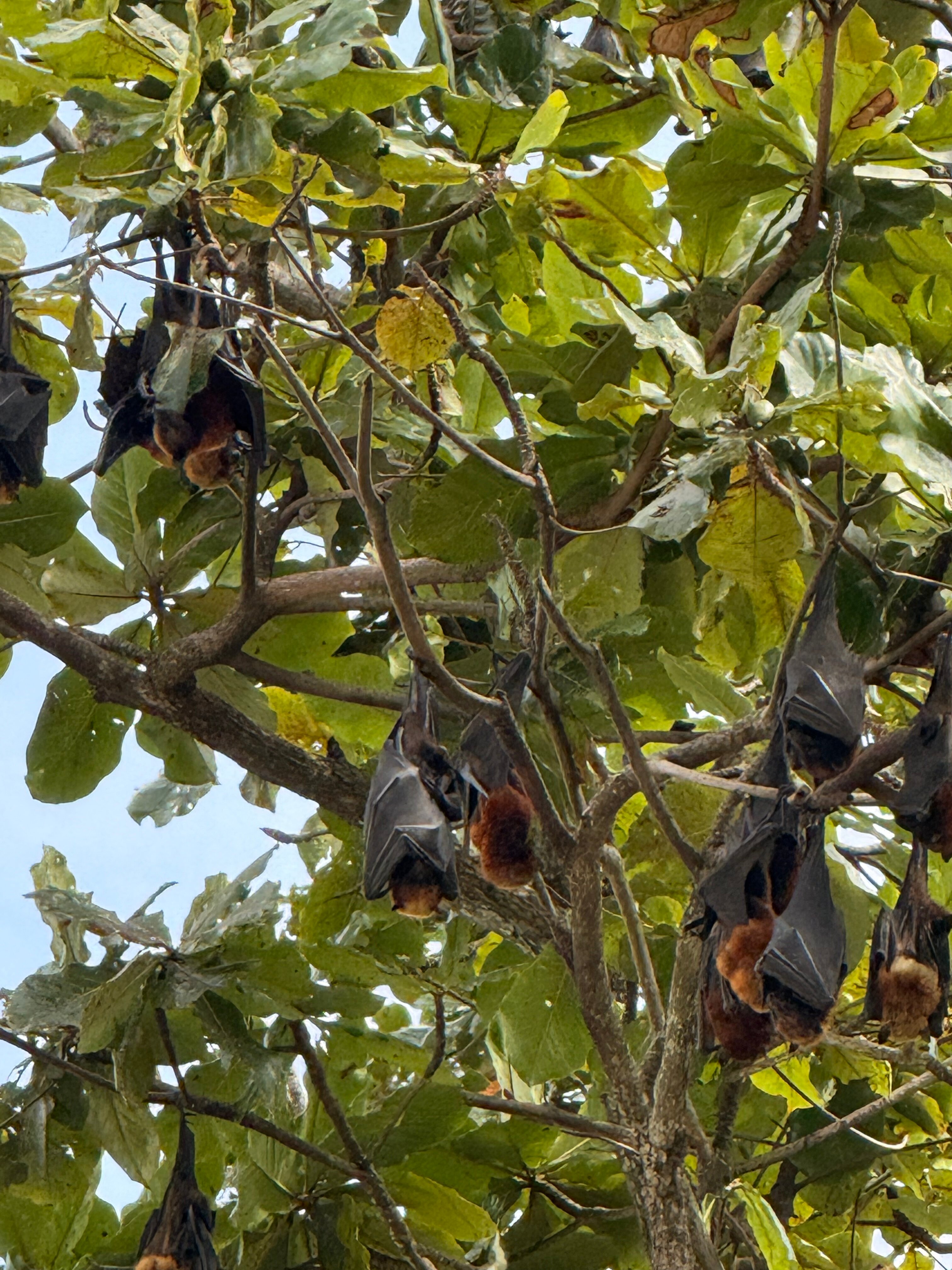 绿中海度假村-浴室