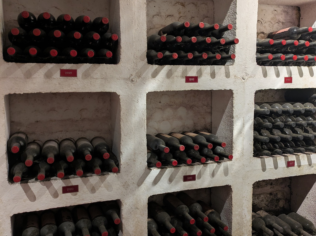 Cantina Aldo Rainoldi-Chiuro必去景点