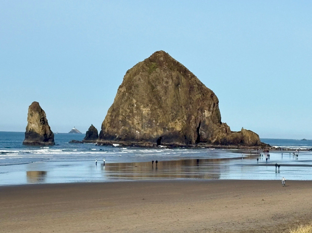 海洋山林小屋主图