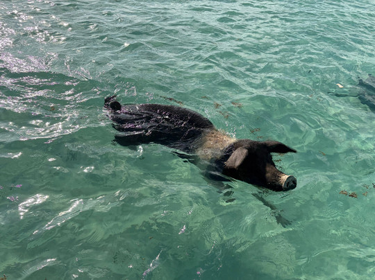 Aquaquest Escapes-George Town必去景点