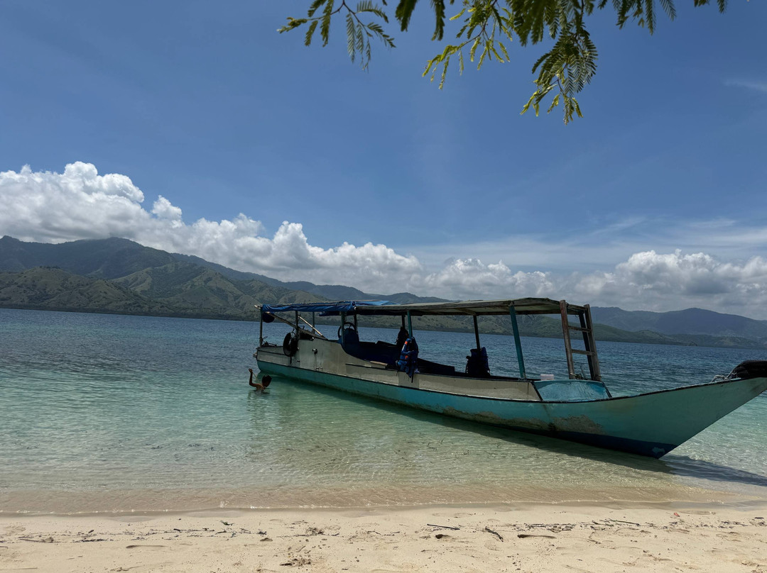 Riung boat trip organizer