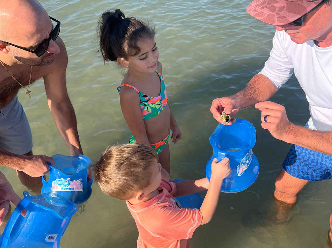 Sea N Things, LLC-Indian Shores必去景点