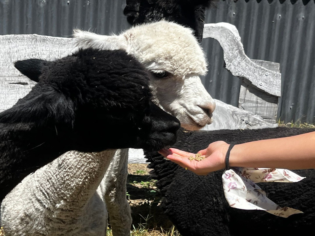 Softfoot Farm & Wildlife Park-Hindmarsh Valley必去景点