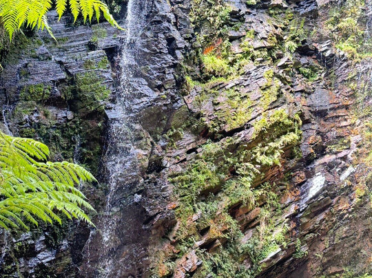 Recanto Salto Boa Vista-Campo Largo必去景点