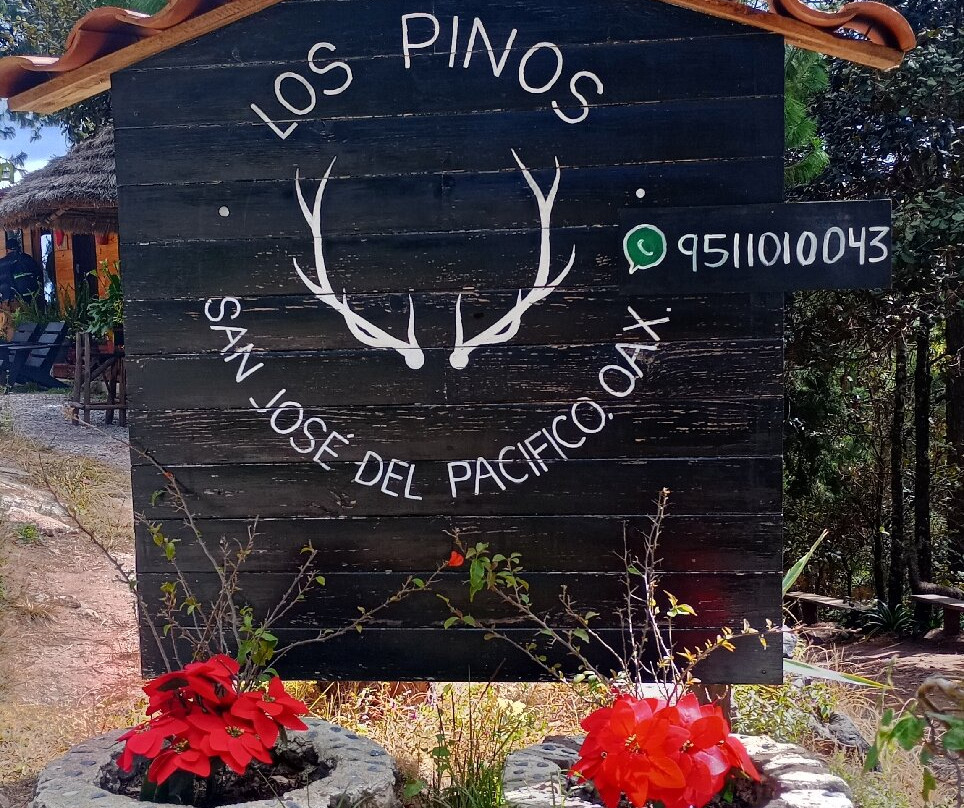 Salto De Pendulo "los Pinos"-San Jose del Pacifico必去景点