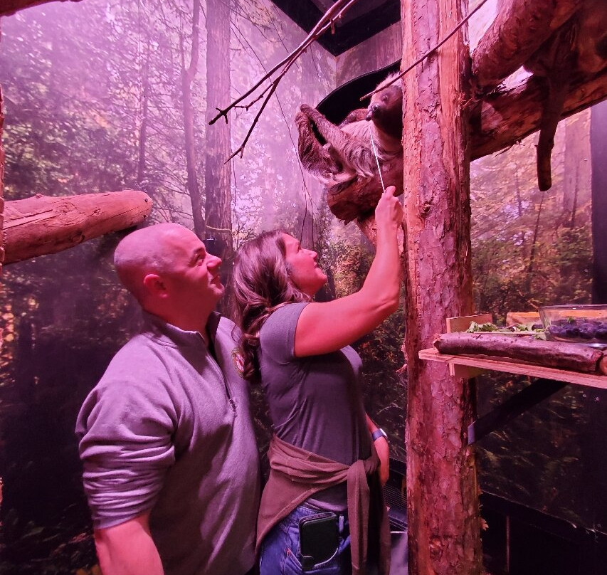 Little Ray's Nature Center-锡拉丘兹必去景点