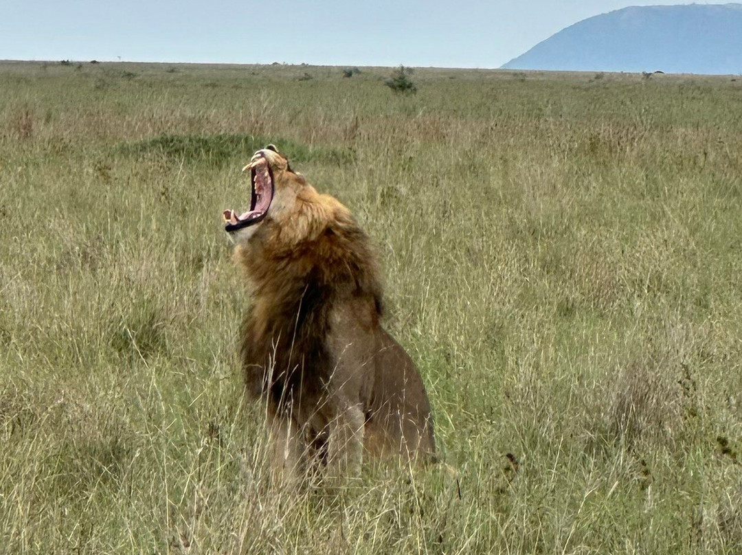 Tanzania Roadside Expeditions-阿鲁沙必去景点