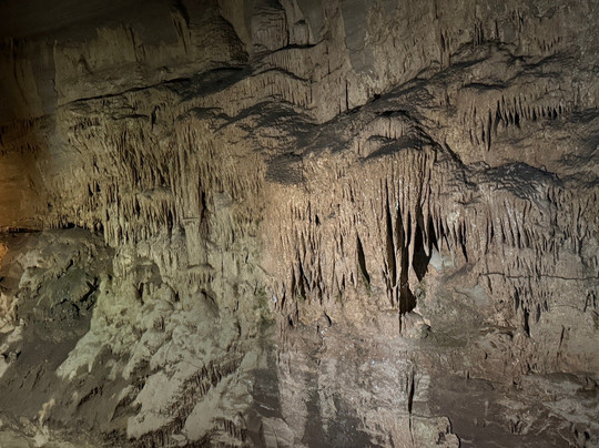 Cathedral Caverns State Park-Woodville必去景点