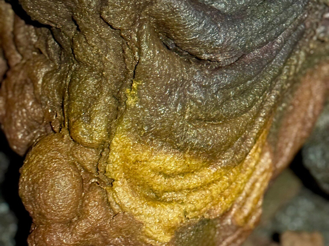 Envergure Réunion-埃勒堡必去景点