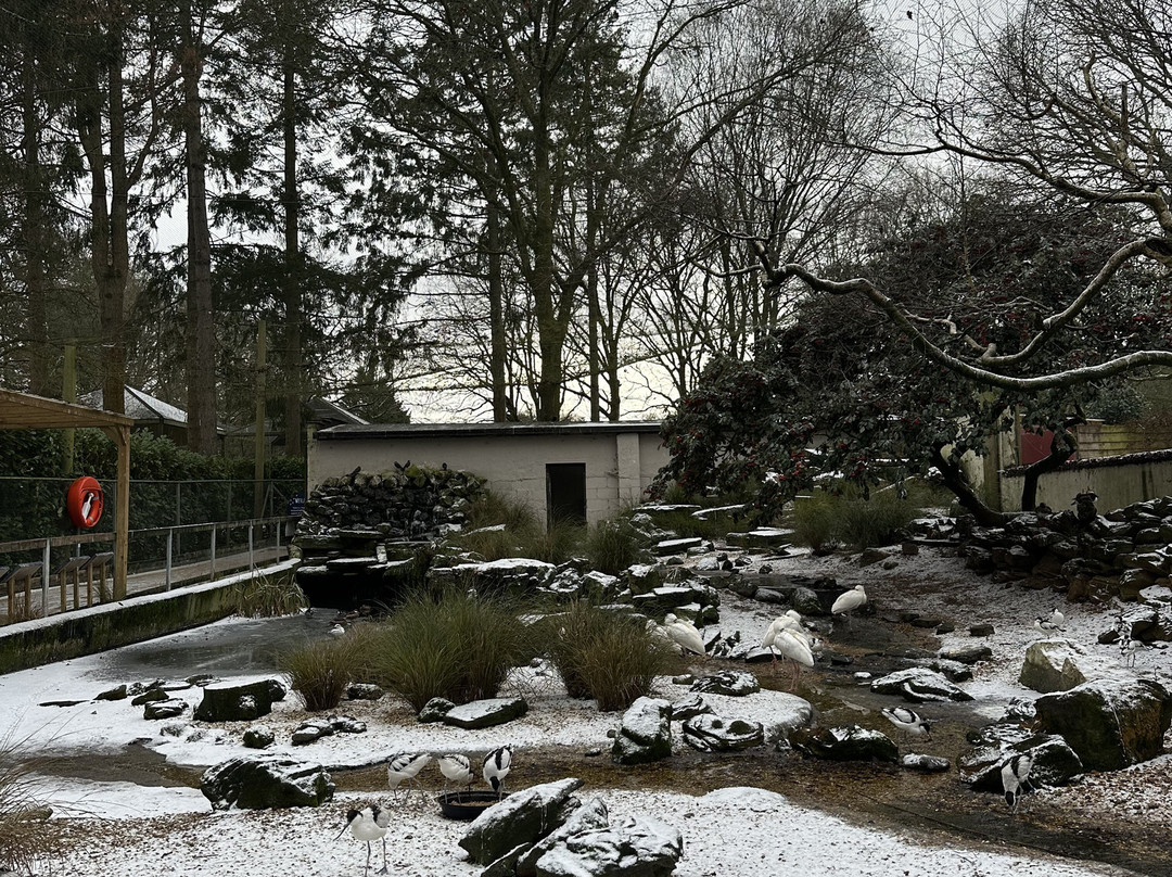 Birdworld-法纳姆必去景点