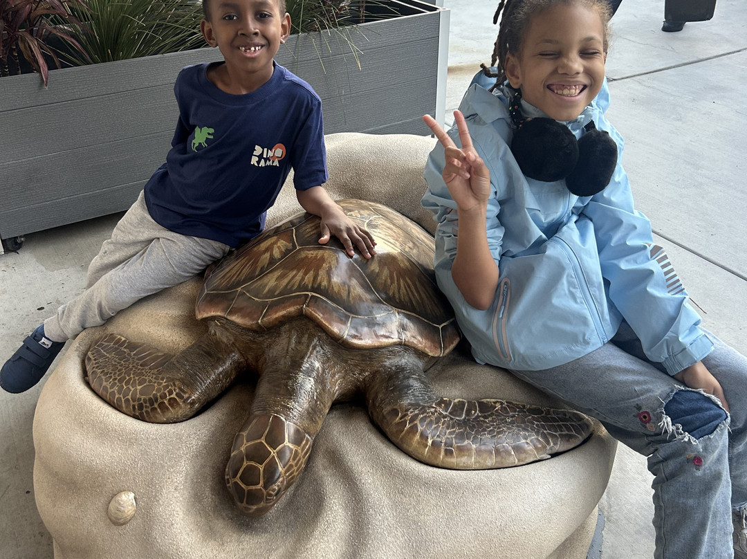 SEA LIFE Aquarium-卡尔斯巴德必去景点