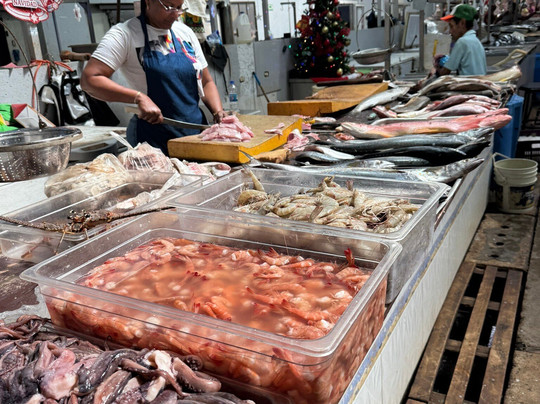 El Trip de Jenny-巴拿马城必去景点