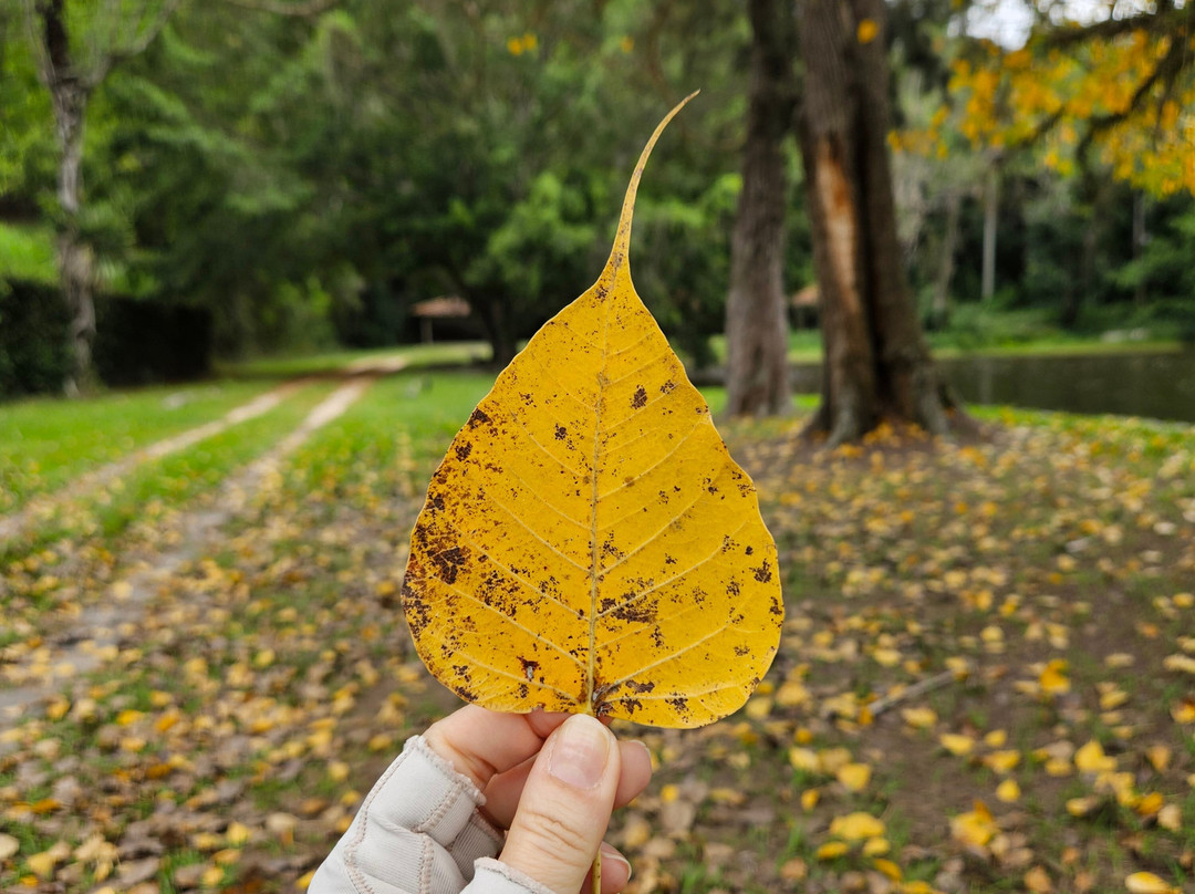Fazenda Cachoeira Grande-Vassouras必去景点