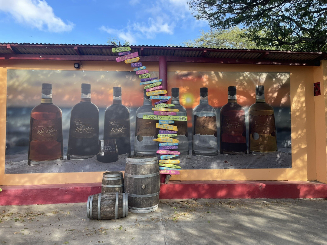 The Cadushy Distillery-Rincon必去景点