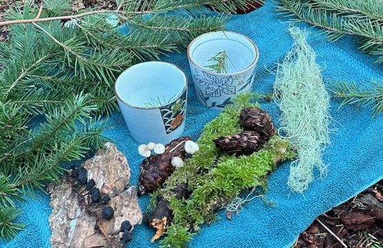 Alpenglow Mountain Escapes-Nakusp必去景点