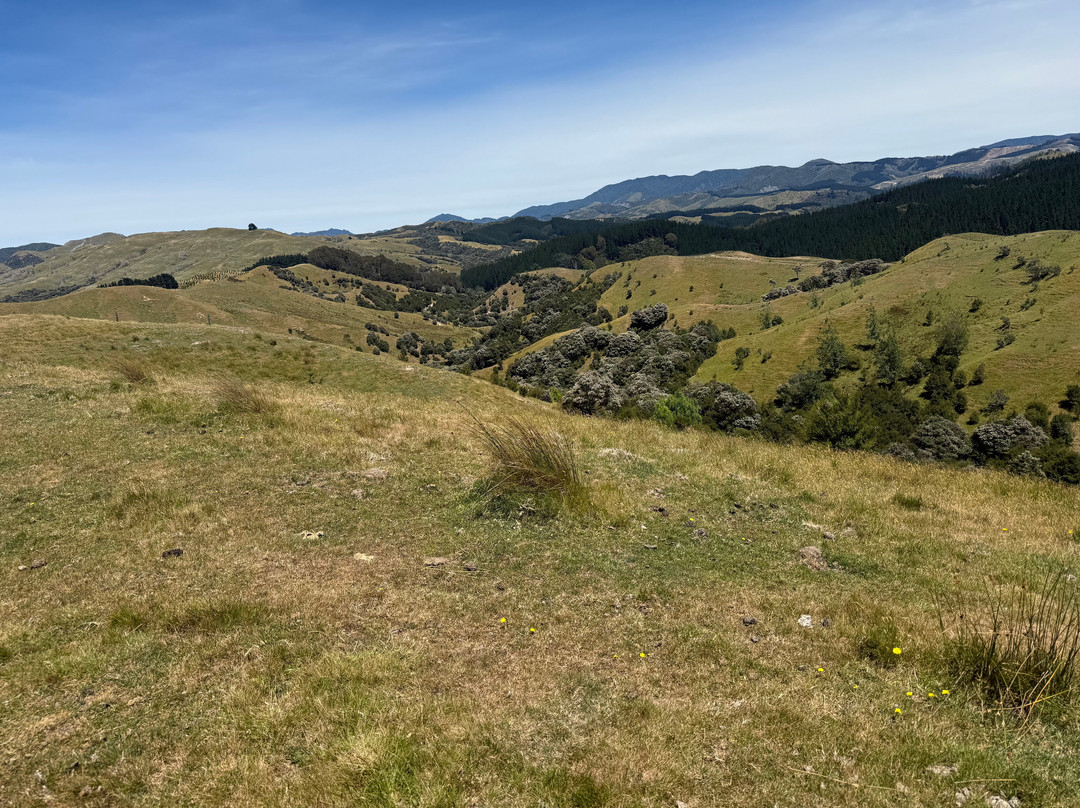Tora Coastal Walk-马丁堡必去景点