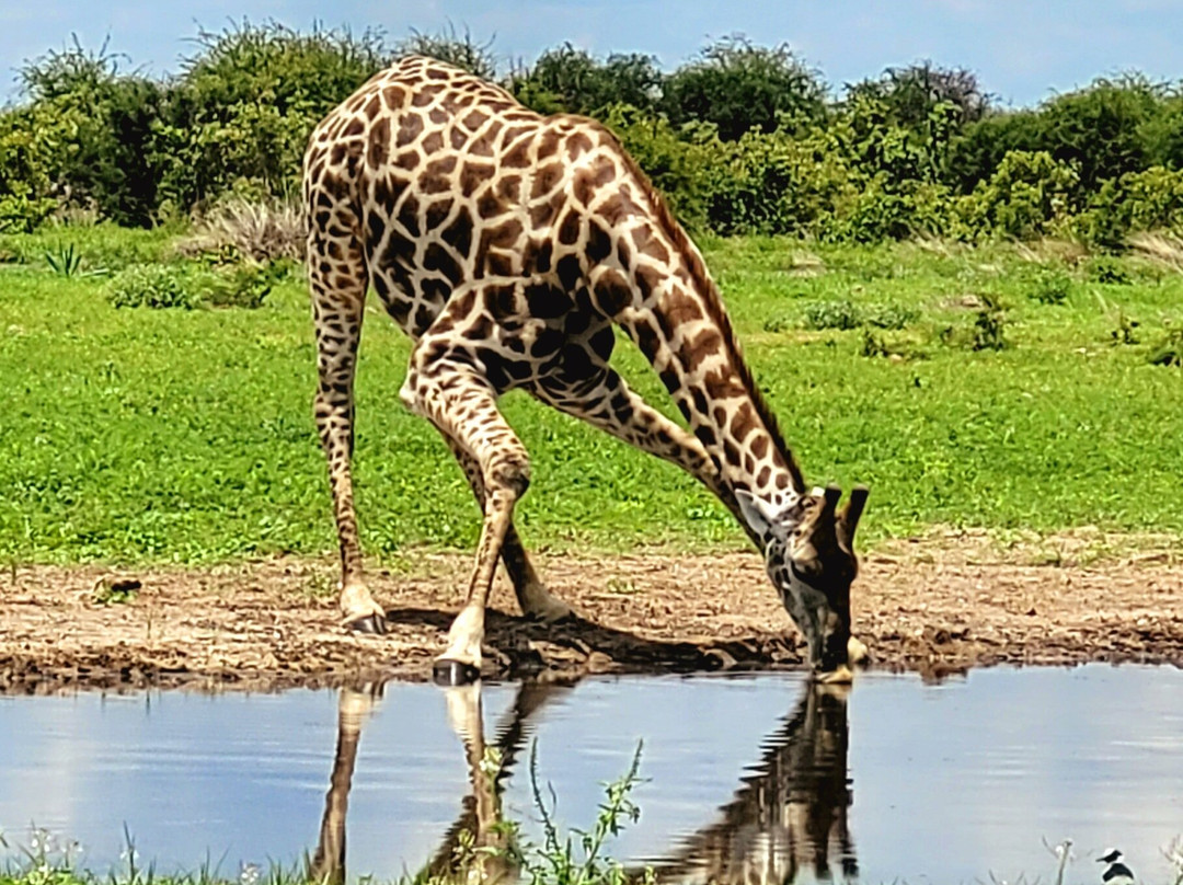 Namibia-Experience-温德和克必去景点