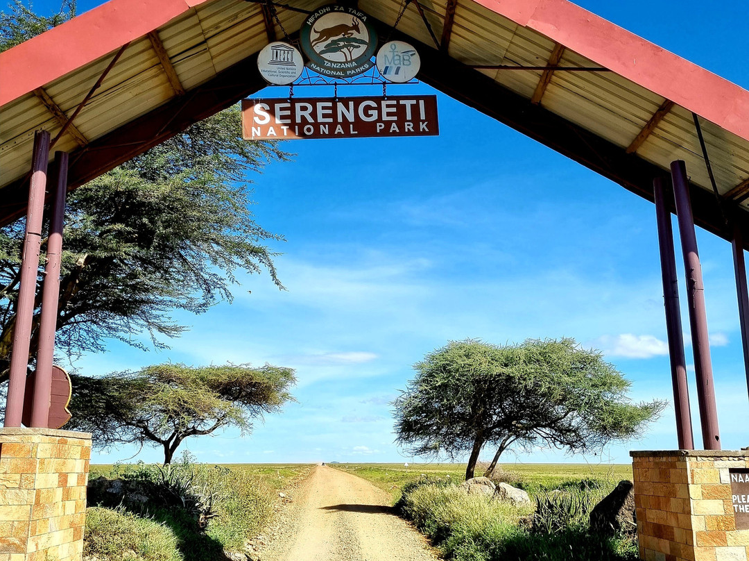 Travel Sensations-戈斯利必去景点