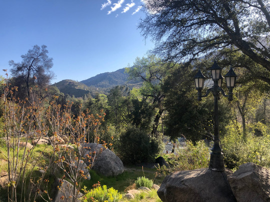 Whispering Pines Lodge主图