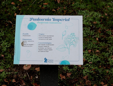 Parc Georges Nouelle-索恩河畔沙隆必去景点