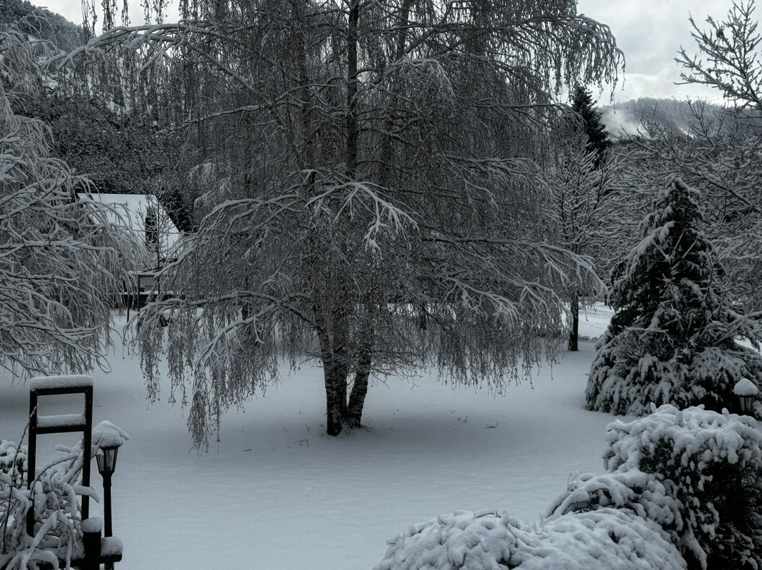 可科恩酒店主图