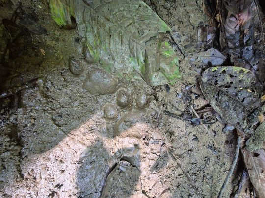 Costa Rica Wild Expeditions-希门尼斯港必去景点