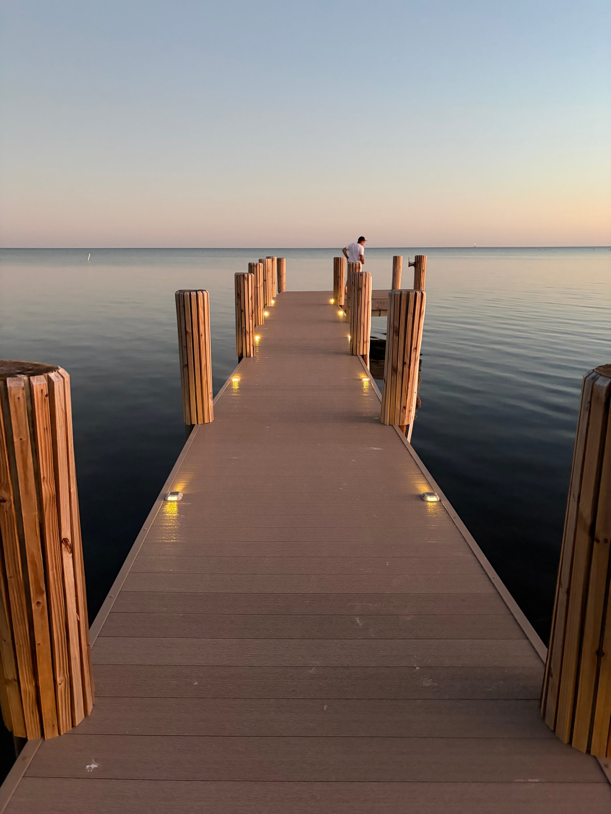 松树&棕榈树度假极度-官方