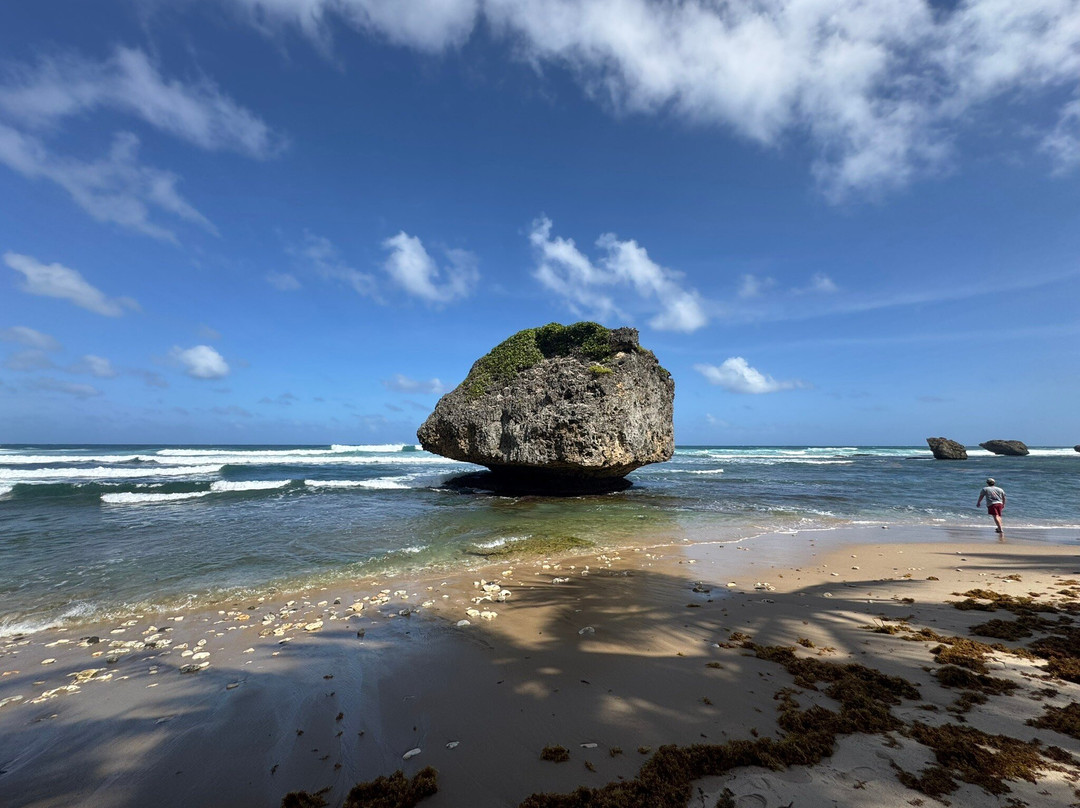Island Safari Barbados-Saint Michael Parish必去景点