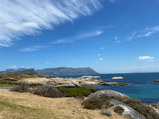鲸鱼观景庄园旅馆主图